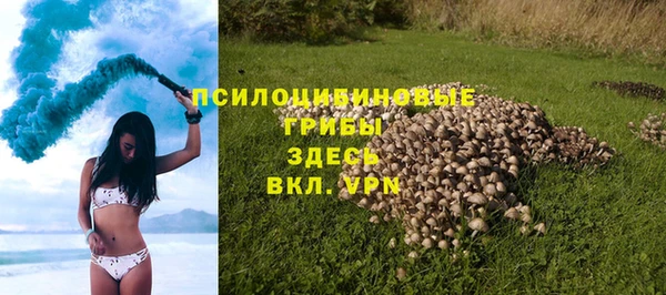 сатива Арсеньев