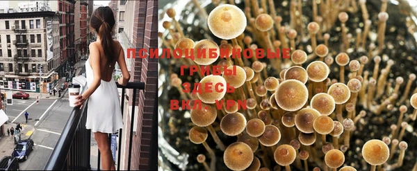 гидропоника Армянск