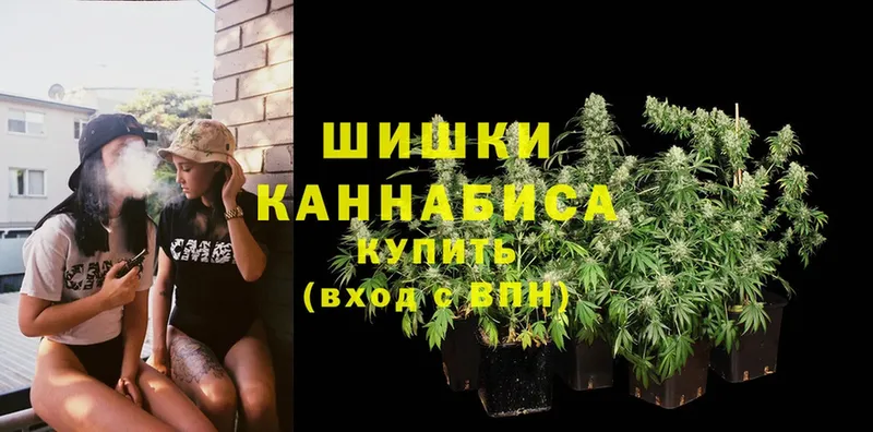 Шишки марихуана THC 21%  где можно купить наркотик  Волосово 