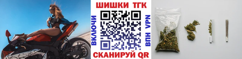 Канабис сатива  Волосово 